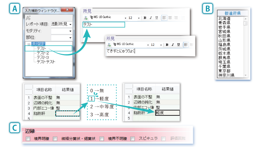 例　A：定型文　　B：リストボックス　　C：チェックボックス　等