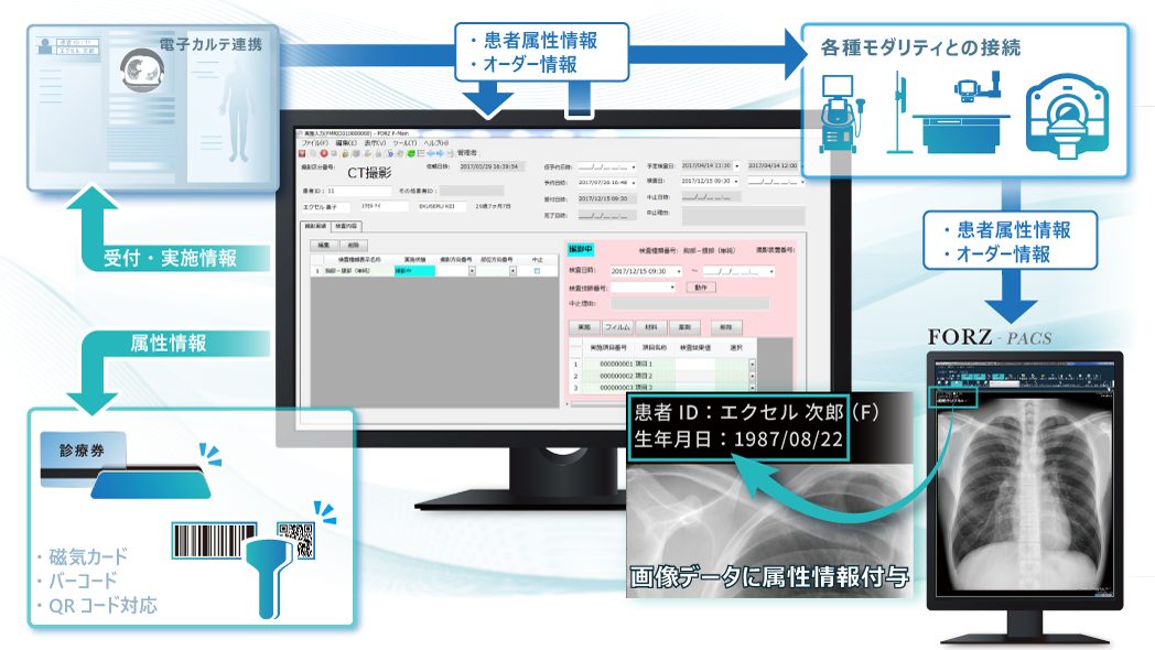 FORZ　検査　システムイメージ